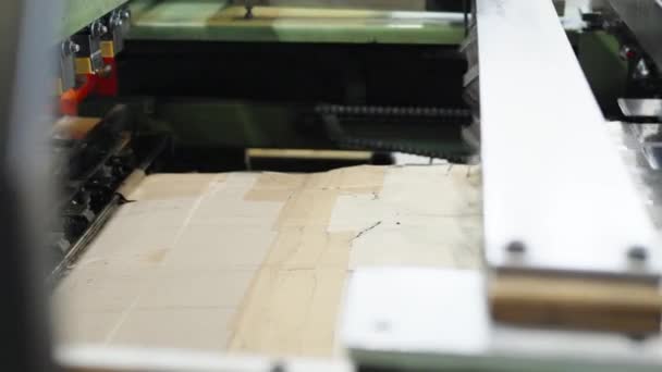 工場でビニール袋を製造するためのロボット自動化された機械です 高品質4K映像 — ストック動画