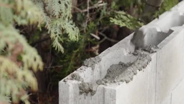 Concreting Foundation House Lost Formwork — Stock Video