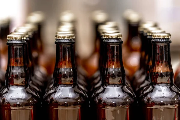 Повні Пляшки Пива Поспіль Складі Готові Експорту Високоякісна Фотографія — стокове фото