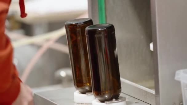 Maszyna Automatycznego Napełniania Butelek Piwie Browarze — Wideo stockowe