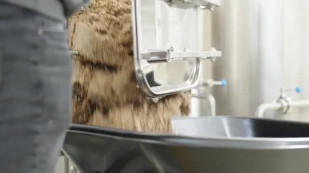 Pulire Serbatoio Con Malto Residuo Dopo Birra Birrificio — Video Stock