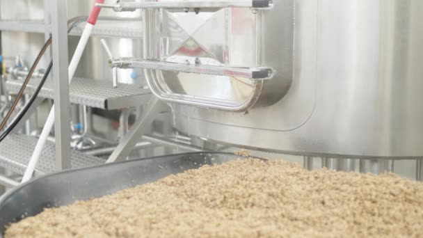 Pouring Out Residual Malt Boiler Brewery Beer Brewing High Quality — Stock Video