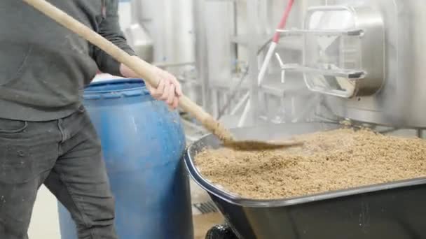 Утилизация Остаточного Солода После Варки Пива Пивоваренном Заводе — стоковое видео