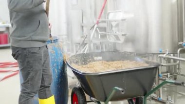 Bira fabrikasında bira demledikten sonra arta kalan malttan kurtul.. 