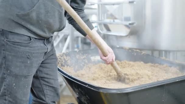 啤酒酿造厂啤酒酿制后剩余麦芽的处理 — 图库视频影像