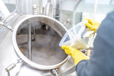 Bira demlerken bira fabrikasında kurutulmuş hups.