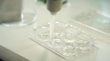 Bir bilim adamı araştırma laboratuvarında bitki genetiğini araştırıyor. Sanayi için geliştirilen genetiği değiştirilmiş bitkiler. 