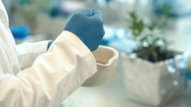 Crushing Plants Mortar Genetic Research Scientific Biochemical Laboratory — Stock Video