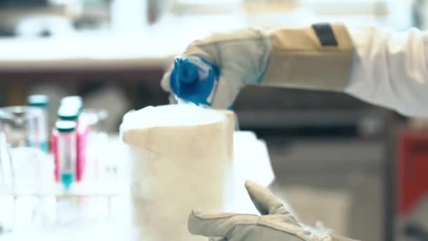 Bir Araştırma Laboratuvarında Sıvı Nitrojenle Yapılan Bilimsel Deneyler — Stok video