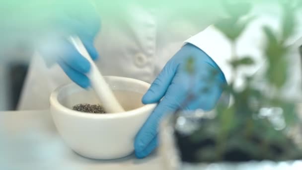 Pflanzen Mit Mörtel Zerkleinern Genetische Forschung Einem Wissenschaftlichen Biochemischen Labor — Stockvideo