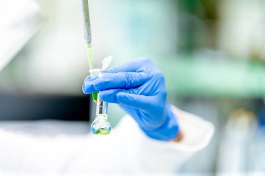 Bir araştırma laboratuvarında cam test tüpündeki kimyasal madde. Genetik test. Yüksek kalite fotoğraf