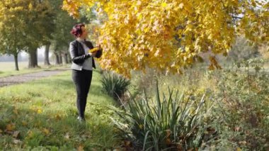 Kadın sonbaharda akçaağaç ağacından canlı sarı yapraklar toplar ve onları ceketinin cebine koyar. Sahne, sakin bir park ortamında doğanın güzelliğini yakalar.