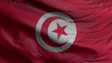 Tunisia flag seamless closeup waving animation. Tunisia Background. 3D render, 4k resolution