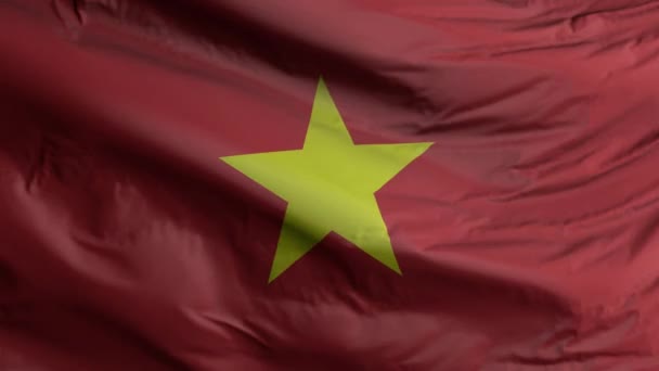 Vietnam Flag Seamless Closeup Waving Animation Vietnam Background Render Resolution — Vídeo de stock
