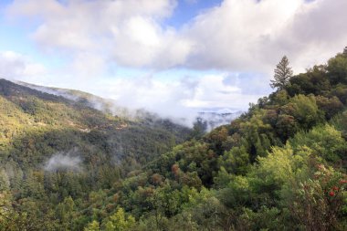 Fırtına dindikten sonra Uvas Kanyonu 'nun yukarısına bakıyor. Morgan Hill, Santa Clara County, California, ABD.