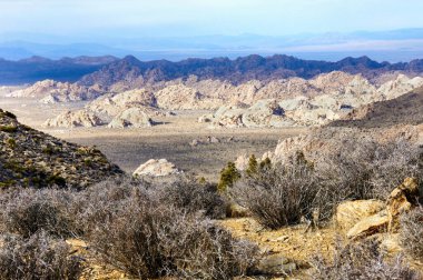 Kayaların Harikalar Diyarı Ryan Dağı 'ndan Joshua Tree Ulusal Parkı, Kaliforniya' da görüldü..