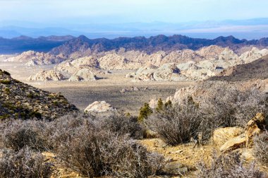 The Wonderland of Rocks as seen from Ryan Mountain at Joshua Tree National Park, California. clipart
