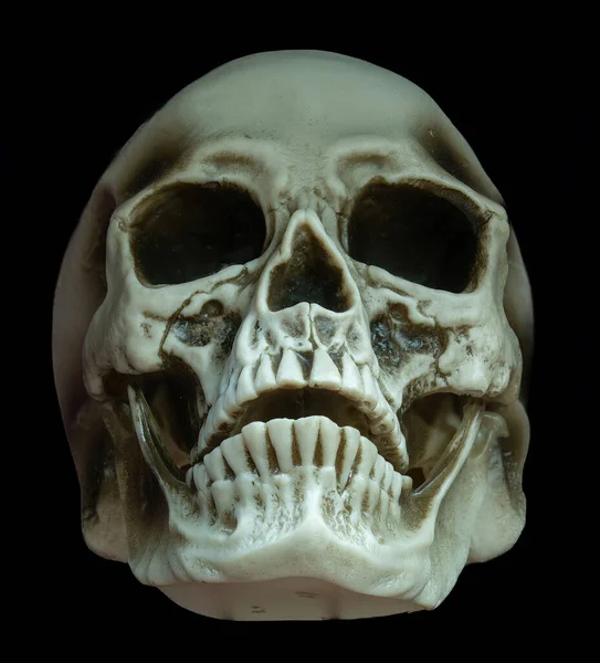 Cráneo Masculino Para Accesorios Decoraciones Halloween Aislados Contra Fondo Negro — Foto de Stock