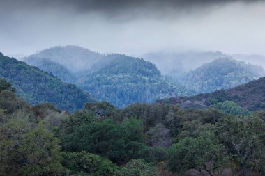 Sisli Bulutlu Gökler Santa Cruz Dağları üzerinde. Fremont Eski Koruma Alanı, Santa Clara County, Kaliforniya, ABD.