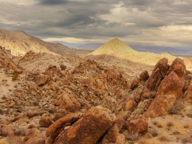 49 Palmiye Oasis Üzerindeki Kara Bulutlar, Joshua Tree Ulusal Parkı, Kaliforniya, ABD.