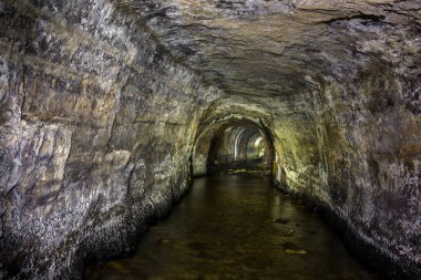 Terk Edilmiş Okyanus Kıyısı Demiryolu Tüneli Davenport, Kaliforniya, ABD.