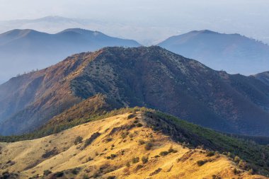 Sisli bir kış gününde Diablo Dağı 'nın zirvesinde Kel Tepe ve Kartal Tepesi. Mount Diablo Eyalet Parkı, Contra Costa County, Kaliforniya, ABD.