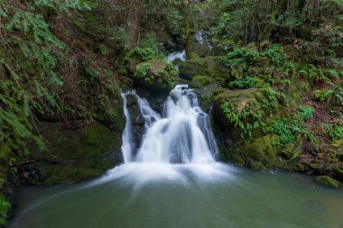 Cascade waterfalls at Cataract Falls. Mount Tamalpais State Park, Marin County, California, USA.