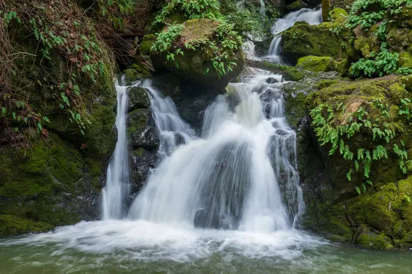 Cascade waterfalls at Cataract Falls. Mount Tamalpais State Park, Marin County, California, USA.