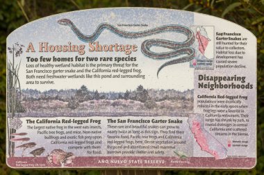 Nesli tükenmekte olan türler için Ano Nuevo Eyalet Rezervi, San Mateo Bölgesi, Kaliforniya.