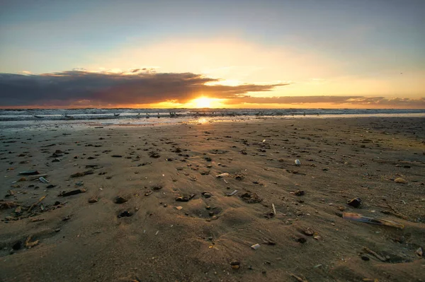 Pôr Sol Praia Dinamarca Conchas Primeiro Plano Caminhe Costa Paisagem — Fotografia de Stock