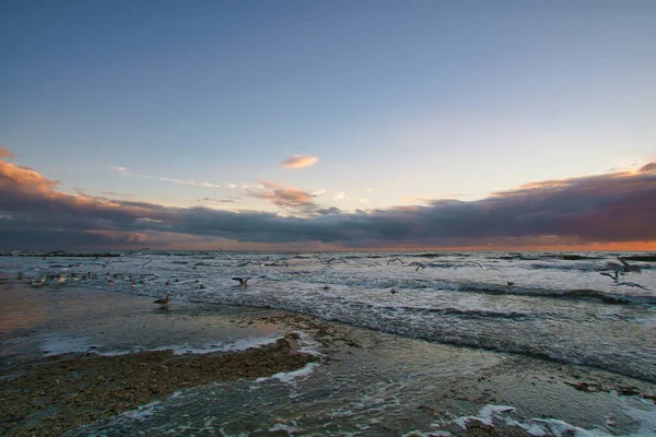 Zachód Słońca Plaży Danii Fale Toczące Się Piasku Spacer Wybrzeżu — Zdjęcie stockowe