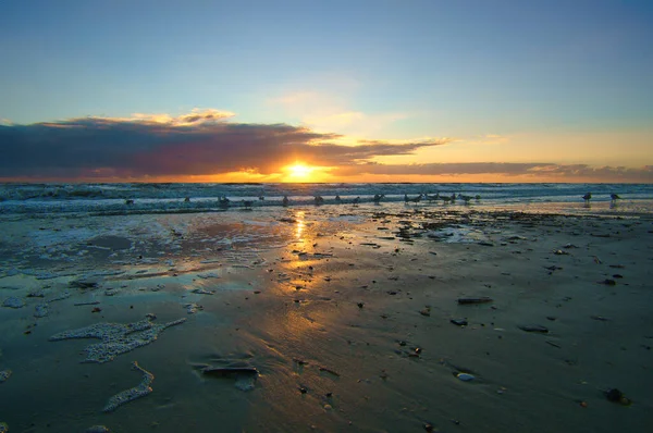 Sunset Beach Denmark Shells Foreground Walk Coast Landscape Photo Sea — Stock Photo, Image
