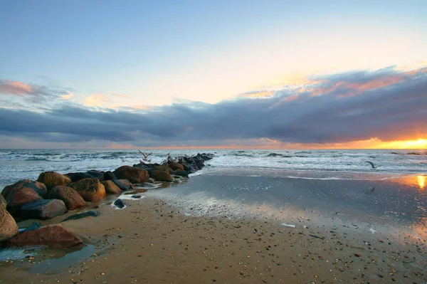丹麦海滩上的落日 石头呻吟着伸进北海 走在沙滩上的海岸 海边的风景照片 — 图库照片