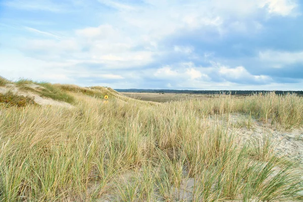 丹麦海边的沙丘景观 去波罗的海的旅行 在海滩度假 斯堪的纳维亚风景画 — 图库照片