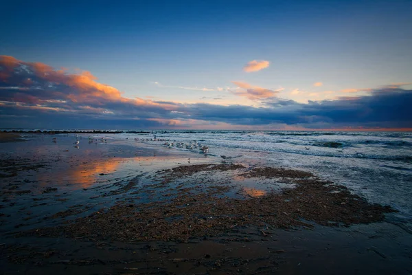 Západ Slunce Pláži Dánsku Náboje Popředí Procházka Pobřeží Písku Krajina — Stock fotografie