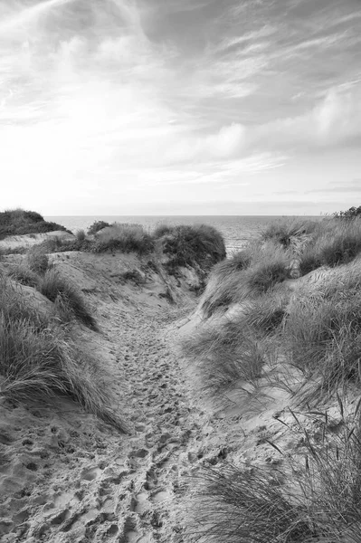 黒と白で撮影された海でデンマークのビーチの交差点 砂の水と海岸に雲 バルト海への旅 ビーチでの休暇 北欧の風景写真 — ストック写真