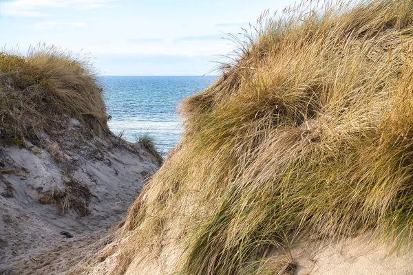 Διασχίζοντας Την Παραλία Στη Δανία Δίπλα Στη Θάλασσα Θίνες Νερό — Φωτογραφία Αρχείου