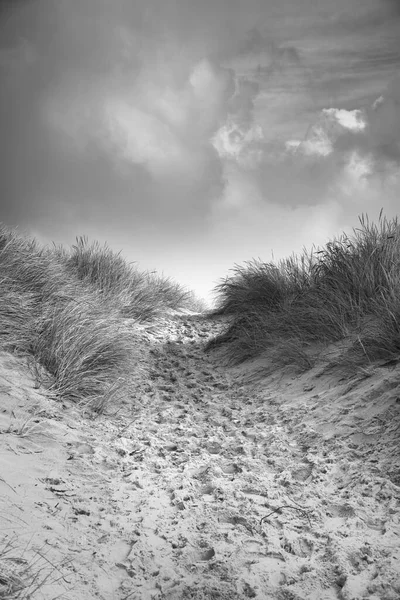 Praia Atravessando Dinamarca Pelo Mar Tomado Preto Branco Dunas Água — Fotografia de Stock