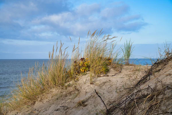 덴마크 해변에서 해변을 건너고 있습니다 모래와 해안에 있습니다 발트해로 해변에서의 — 스톡 사진