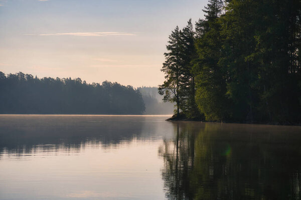 Stone rocks with conifers by the lake in Sweden in Smalland. Wild nature in Scandinavia. Landscape photo from the north
