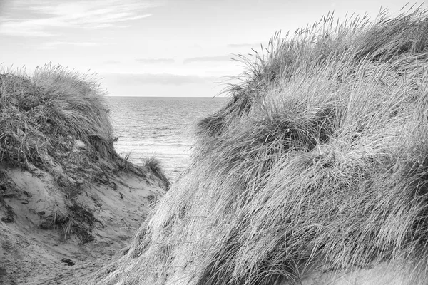 Plážový Přechod Dánsku Moře Černobílé Barvě Duny Písečná Voda Mraky — Stock fotografie