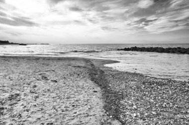 Danimarka 'da taşla vurulan siyah beyaz bir elbise. Taşlar, deniz kabukları ve deniz yosunları kıyıda. Denizden manzara fotoğrafı