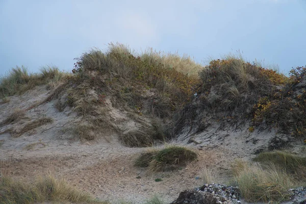 Dunne Sulla Spiaggia Con Erba Sabbia Danimarca Escursioni Vacanza Sulla — Foto Stock