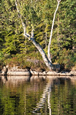 İsveç, Smalland 'da içinde kayalar, ağaçlar ve yansımalar olan bir gölün kıyısında. İskandinavya 'nın vahşi doğası. Kuzeyden manzara fotoğrafı.