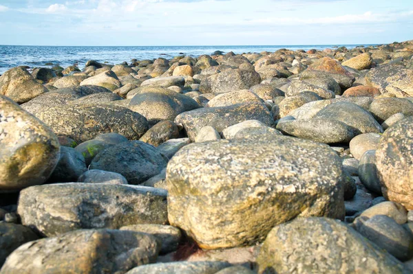 Великі Камені Кам Яному Пляжі Перед Морем Хмарами Небі Данія — стокове фото