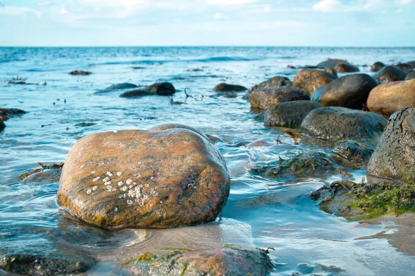 Grande Pietra Acqua Sulla Spiaggia Mare Costa Danese Una Giornata — Foto Stock
