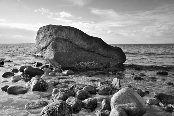 Duży Kamień Czerni Bieli Zabrany Wodzie Plaży Morzu Duńskie Wybrzeże — Zdjęcie stockowe