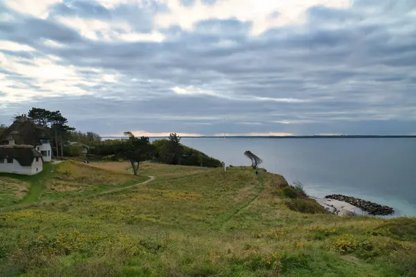 두려움 에사로 덴마크 사람들은 위에서 나무로 바다를 있습니다 발트해 지평선에 — 스톡 사진