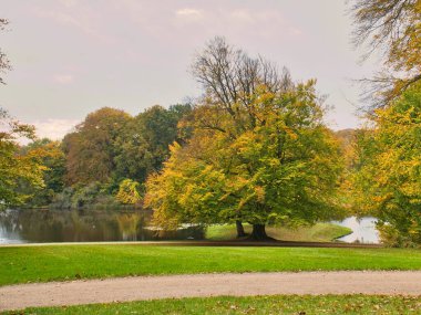 Frederiksborg Şatosu Parkı sonbaharda. Bahçedeki çayırlarda güçlü yaprak döken ağaçlar var. Yaprakların renkli renkleri. Danimarka 'da yürü