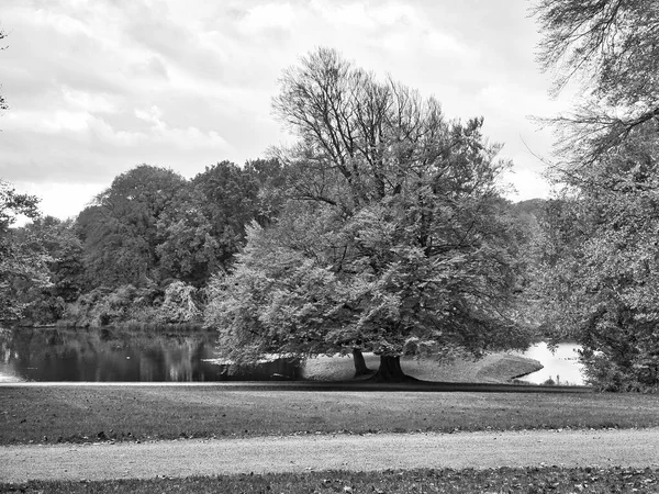 フレデリックスボー城公園は 庭園の牧草地に巨大な落葉樹と秋に 黒と白で撮影しました 葉のカラフルな色 デンマークを歩く — ストック写真
